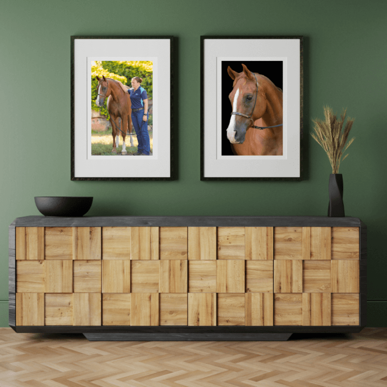 Sample artwork of equestrian photography by Trace Digital, a Brisbane photographer.