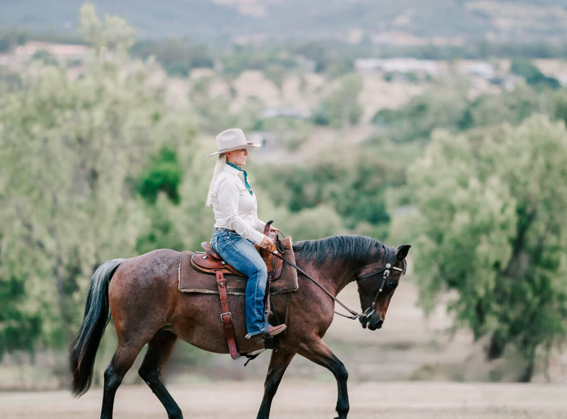 qld-equestrian-portraits-14