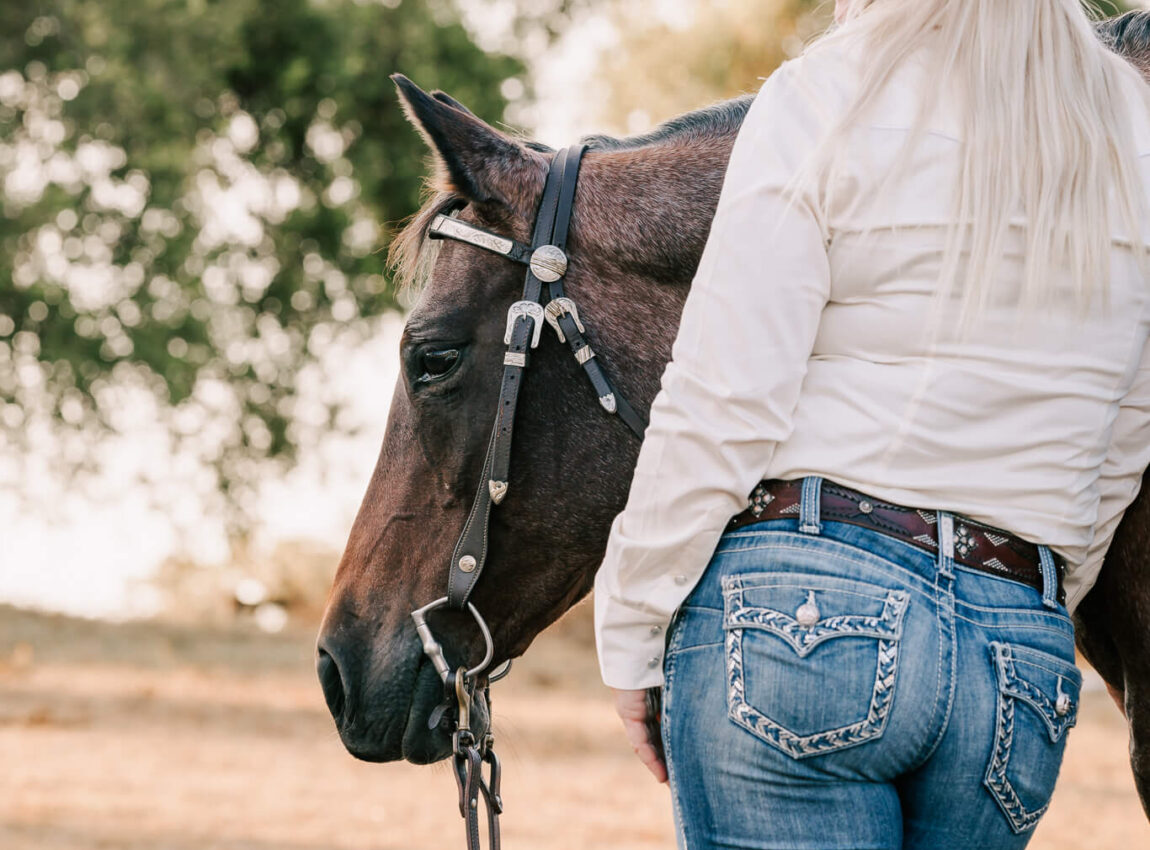 qld-horse-photography-31