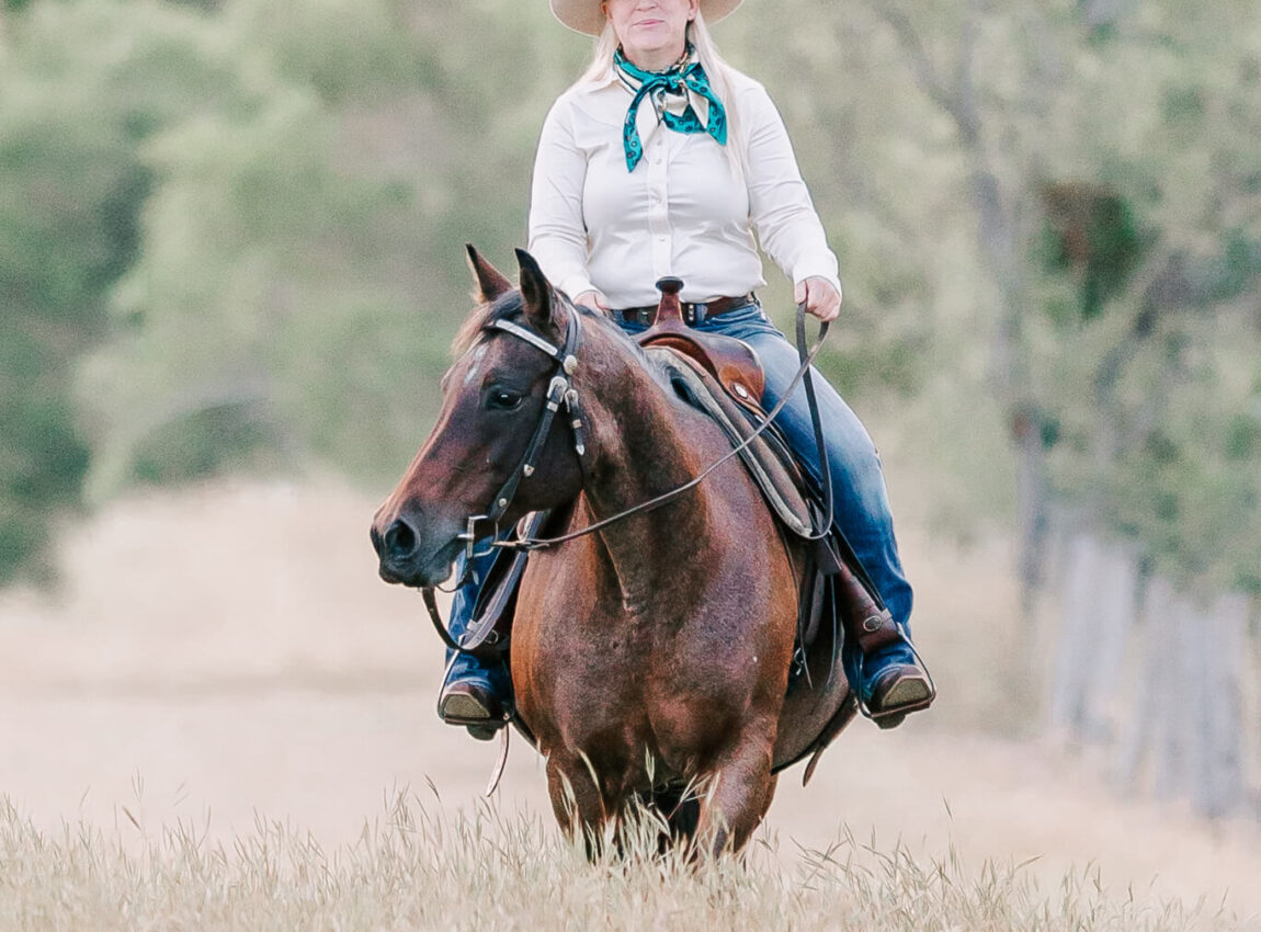 qld-horse-photography-33