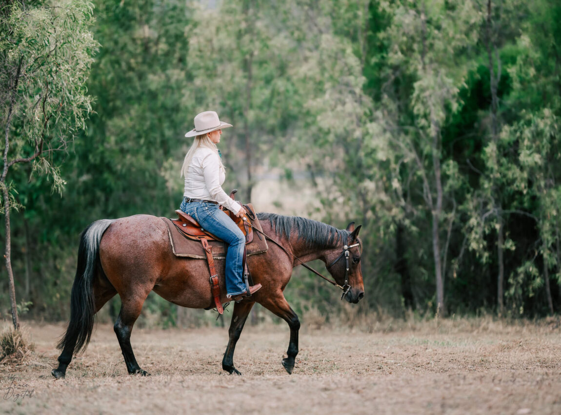 qld-horse-photography-36