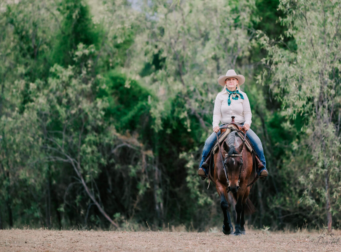 qld-horse-photography-38